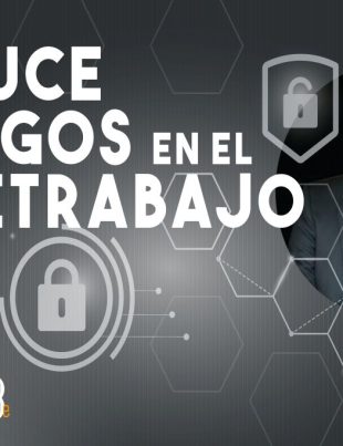 Seguridad en el teletrabajo y políticas públicas para reducir riesgos