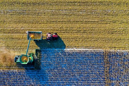 Cómo los robots y la Inteligencia Artificial están transformando la agricultura en Australia