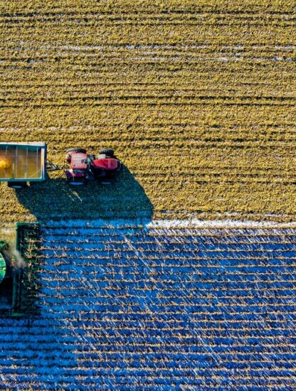 Cómo los robots y la Inteligencia Artificial están transformando la agricultura en Australia