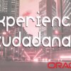 Webinar: Experiencia Ciudadana por Oracle